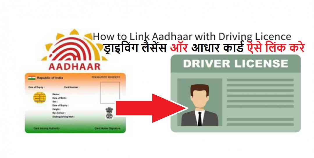  driving license and Aadhar Card