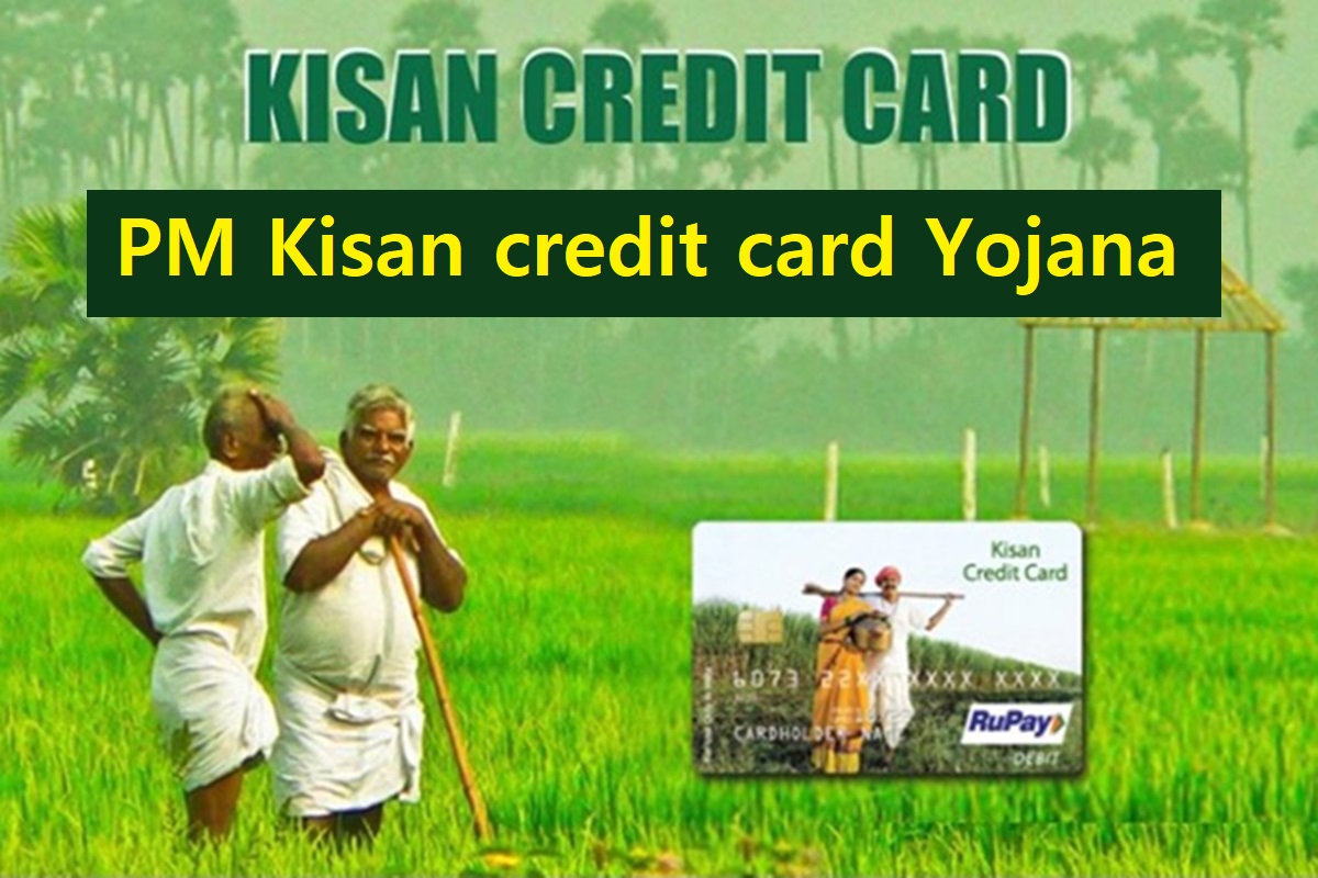 Kisan credit card  Pradhan Mantri Kisan Samman pm Kisan KCC scheme