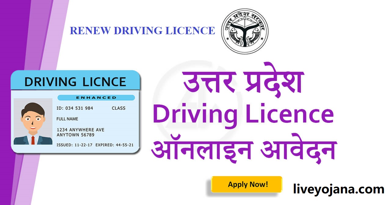 up-driving-licence