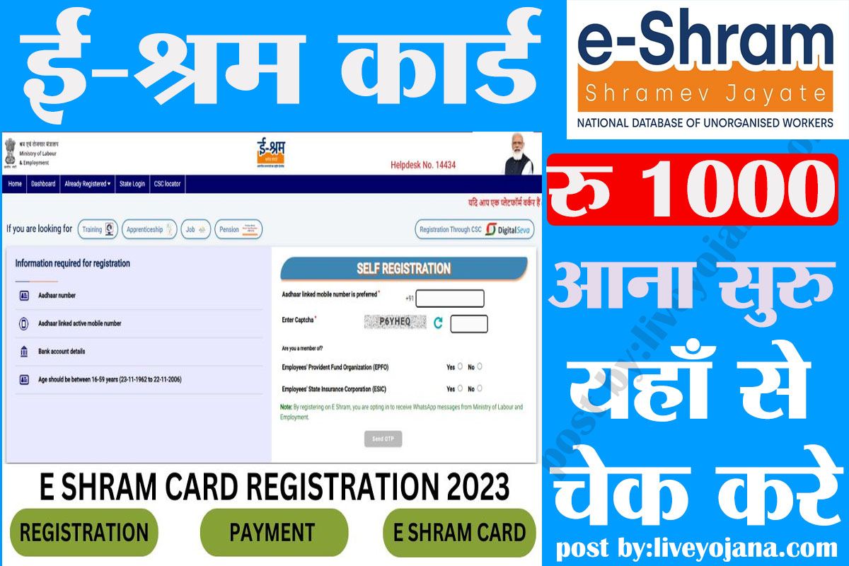 e shram payment check e shram payment status  e shram payment list  e shram payment 1000 