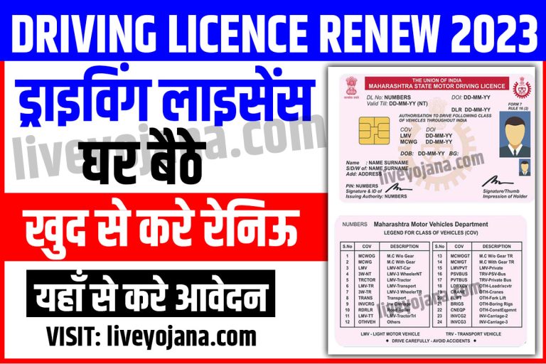 Driving Licence Renewal Online 768x512 