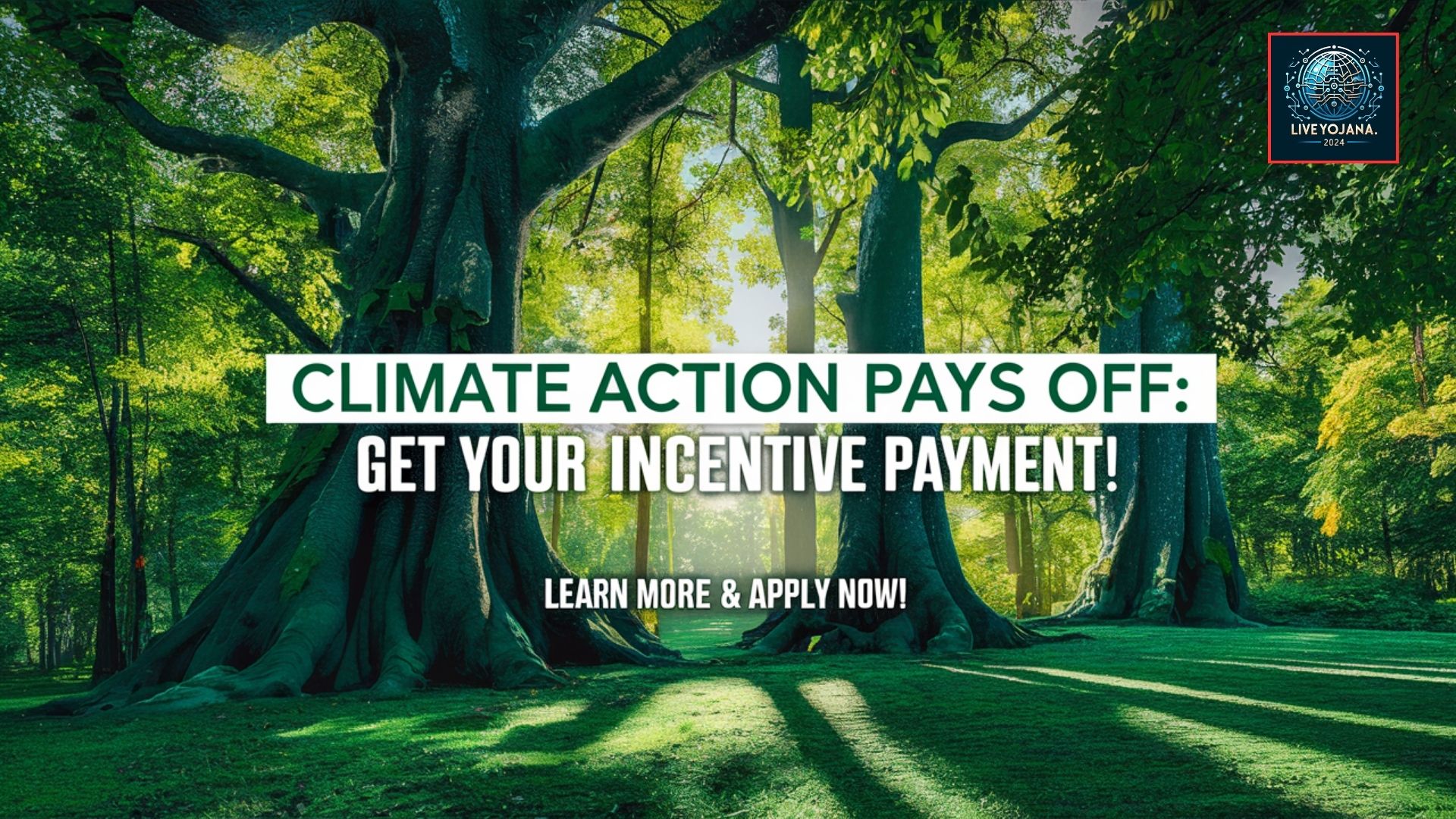 Climate Action Incentive Payment Climate Action Eligibility Criteria Application Process Climate Action Dates CAIP Payment